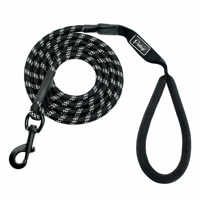 Nylon Reflective Dog Leash.