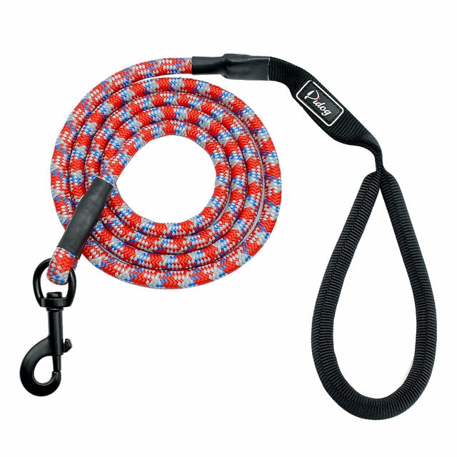 Nylon Reflective Dog Leash.