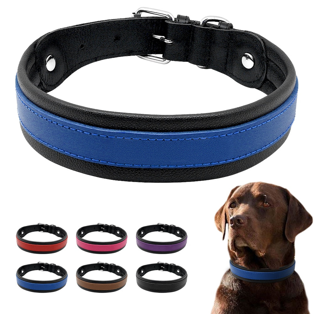 Soft Genuine Leather Dog Collar.
