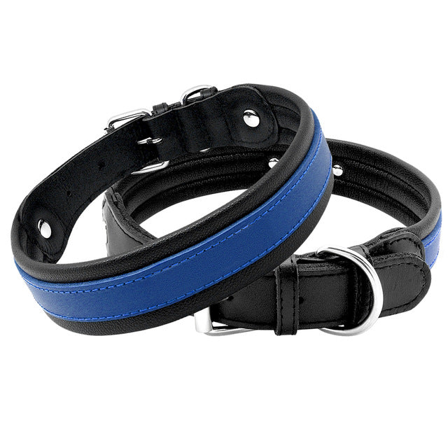 blue leather dog collar