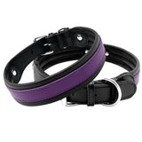 purple leather dog collar