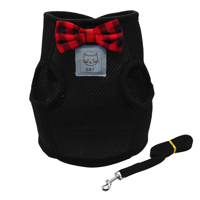 dog harness with bow tie and leash