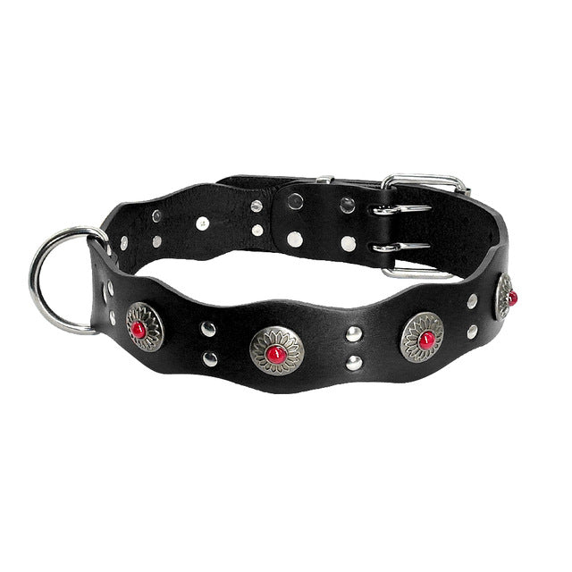 Genuine Leather Dog Collar.