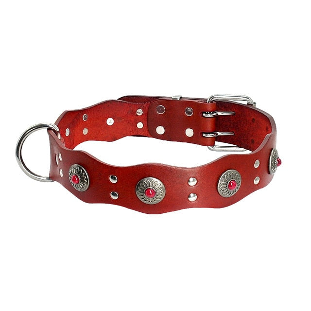 Genuine Leather Dog Collar.