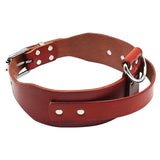 brown leather collar
