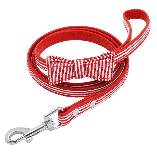 Plaid Leather Dog Leash.
