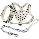 leather spiked dog collar and harness with leash set