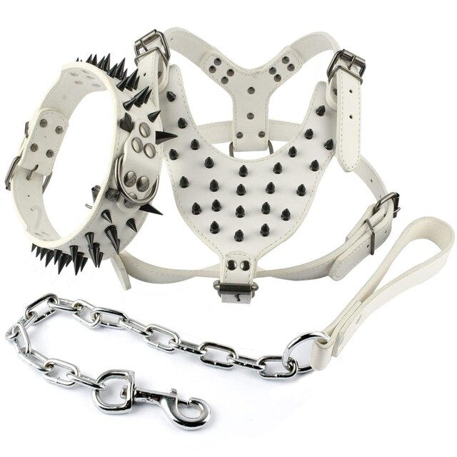 leather spiked dog collar and harness with leash set