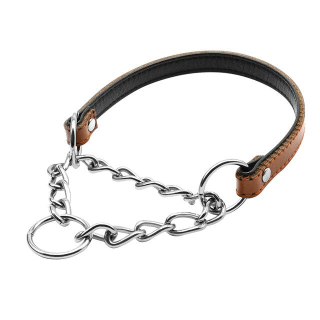 Dog Chain Training Collar