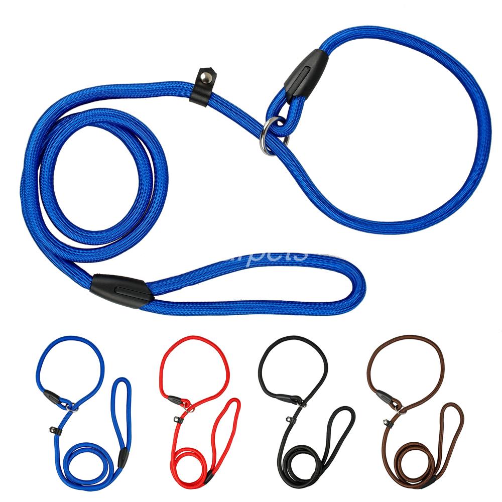 Training Dog Leash.
