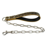 Durable Chain Dog Leash.