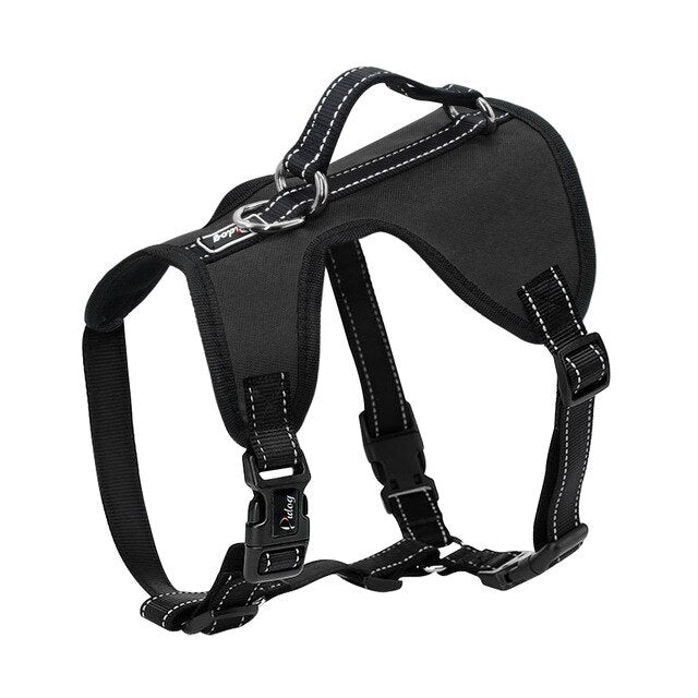 great choice adjustable dog harness