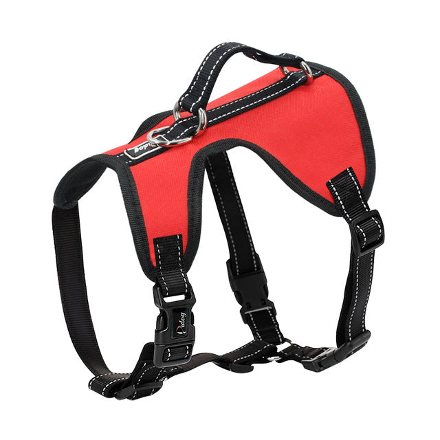 adjustable dog harness
