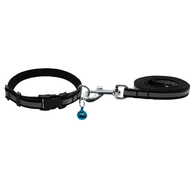 Dog Walking Lead Set.