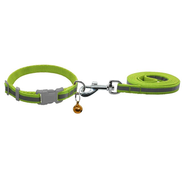 Dog Walking Lead Set.