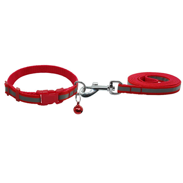 Dog Walking Lead Set.