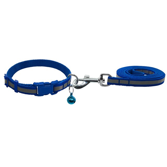 Dog Walking Lead Set.