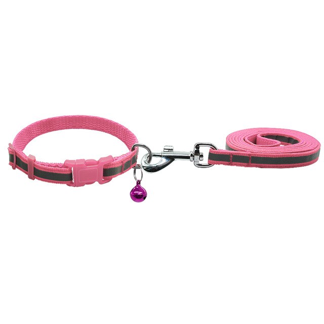 Dog Walking Lead Set.