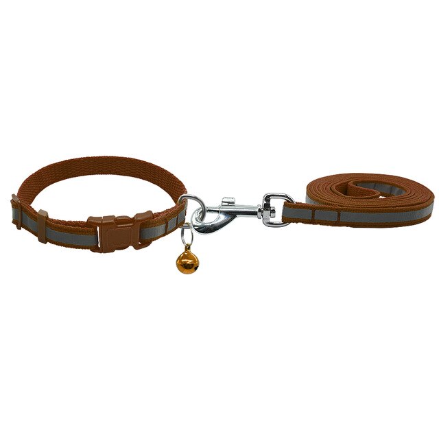 Dog Walking Lead Set.