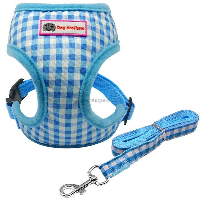 Puppy Walking Harness Set.