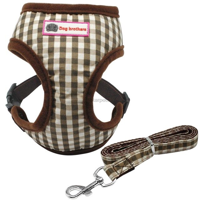 Puppy Walking Harness Set.