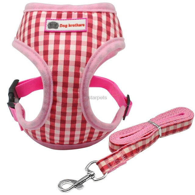 Puppy Walking Harness Set.