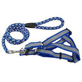 best step in dog harness