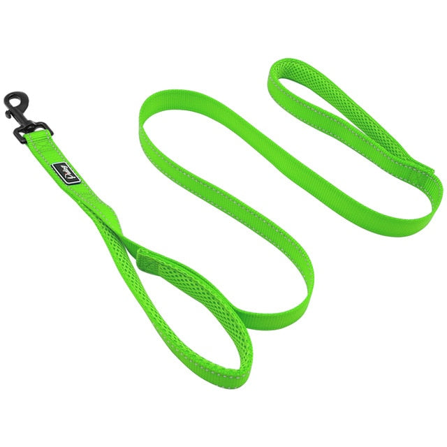 Padded Dual Handle Dog Leash.
