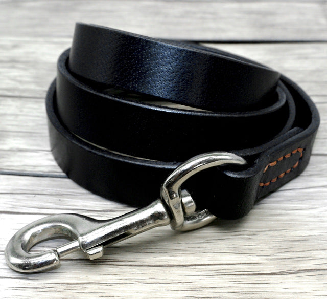 Leather Dog Leash.