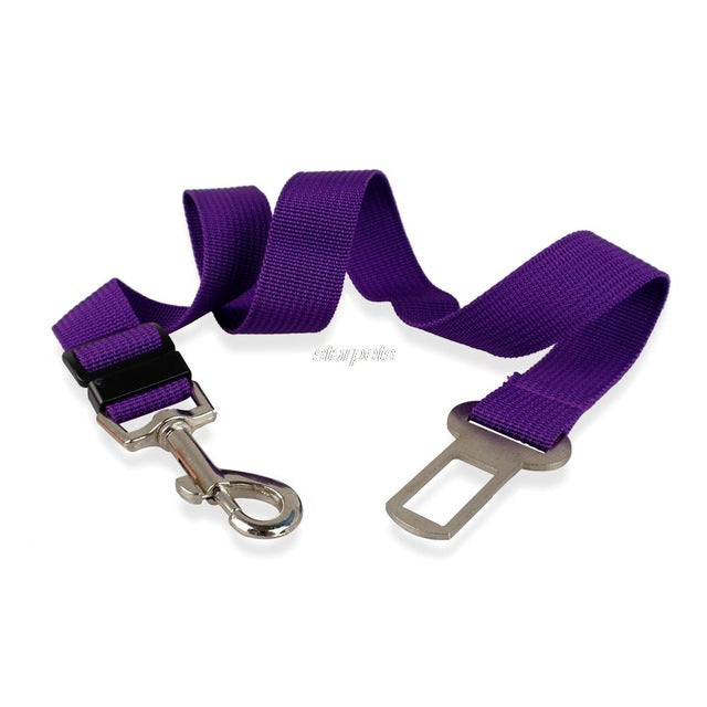 Seat Belt Adjustable Dog Leash.