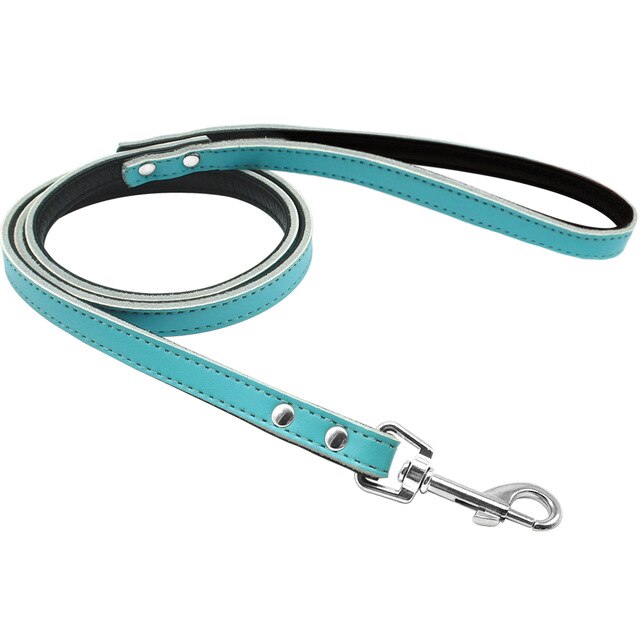 dog training leash pulling