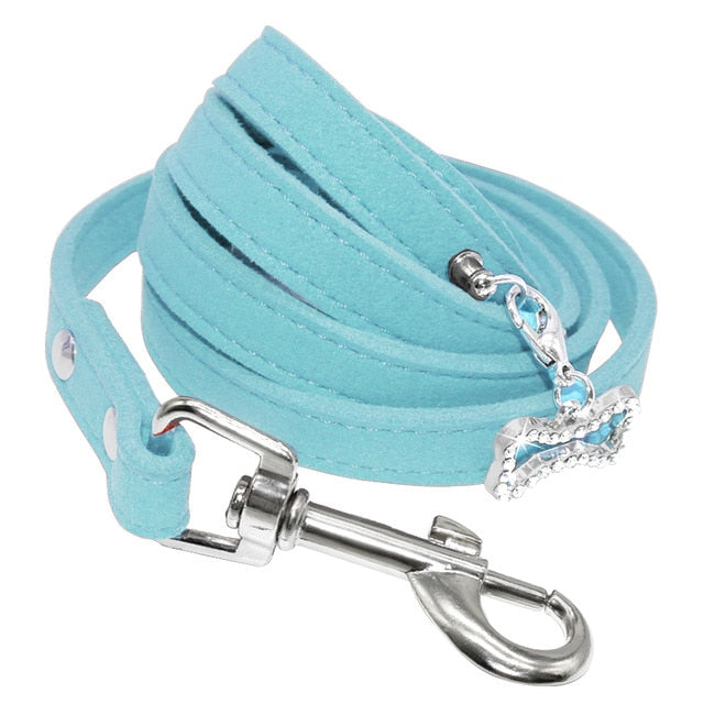 Soft leather leash for puppy