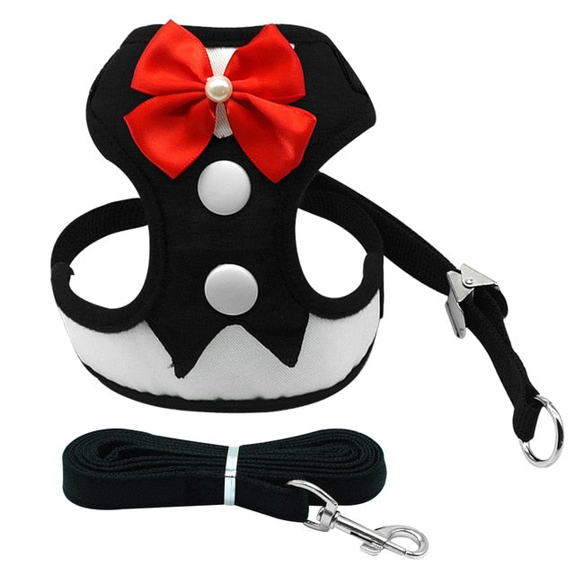 Harness Vest With Leash Set.
