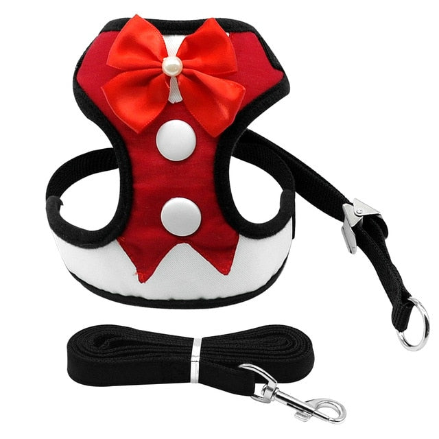 Harness Vest With Leash Set.