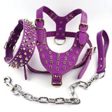 Spiked dog harness purple Leather