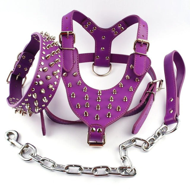 Spiked Leather Dog Harness.