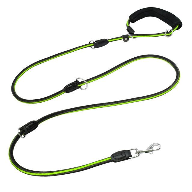 Dog Hands Free Leashes for sale