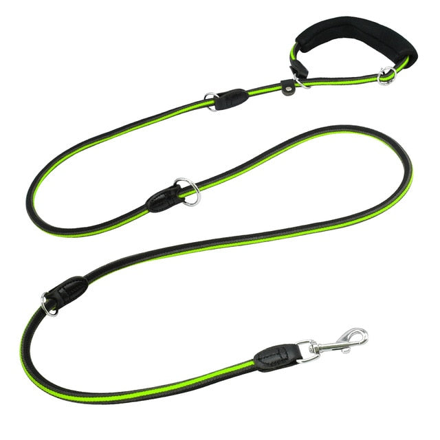 Hands-Free Reflective Nylon Dog Leash.