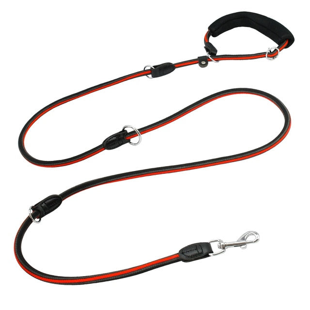Hands-Free Reflective Nylon Dog Leash.
