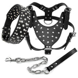 Rhinestone Studded Leather Harness.