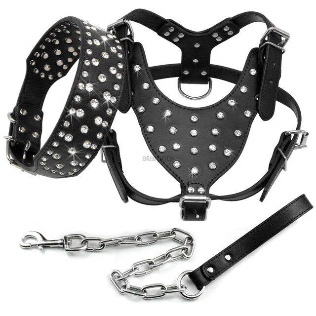 Rhinestone Studded Leather Harness.