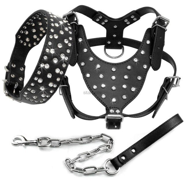 studded dog harness