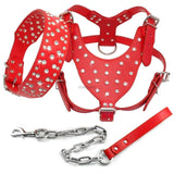 Studded Leather Dog Collar and Harness and Leash set