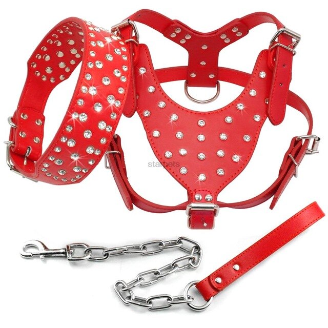 Rhinestone Studded Leather Harness.