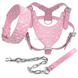 Rhinestone Studded Leather Harness.
