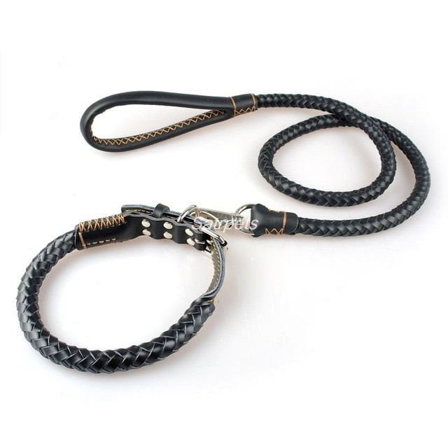 Dog Collar & Leash Set.