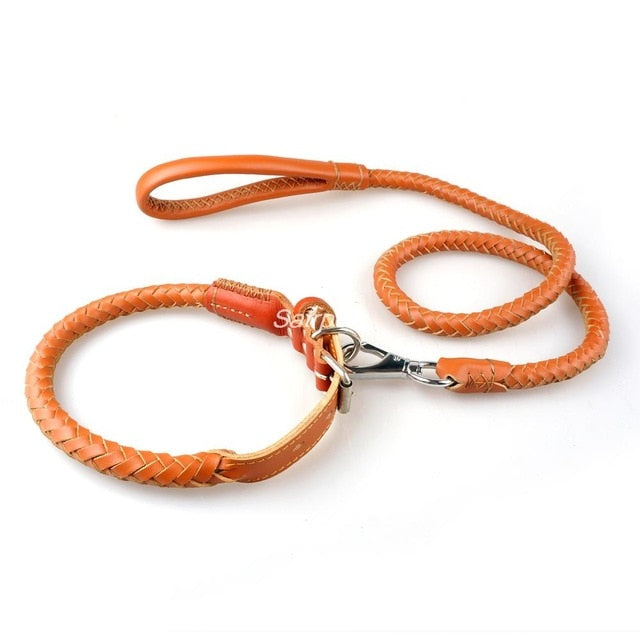 Dog Collar & Leash Set.