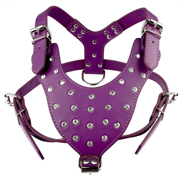 Leather Adjustable Dog Spike Harness.