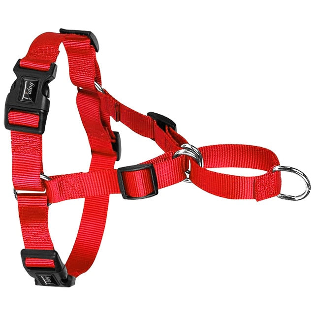 dog harness with metal buckle
