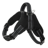 best no pull harness for small dogs